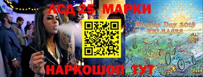 тгк Новодвинск
