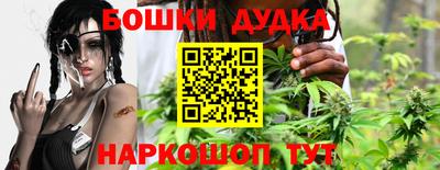 тгк Новодвинск