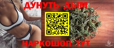 наркотики Новозыбков